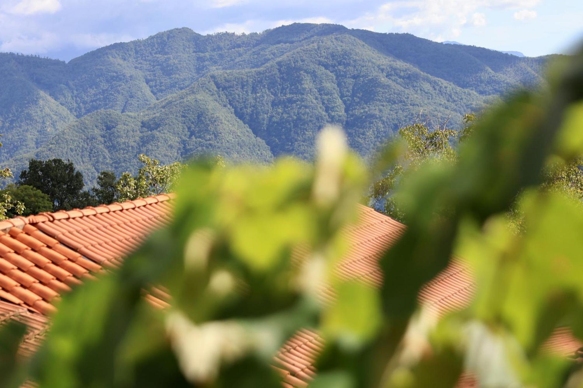 Agriturismo Montagna Verde Apella Licciana Nardi Exterior foto